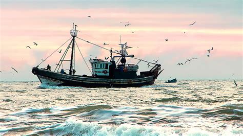 fishing industry|Economic impact of U.S. commercial, recreational fishing remains strong .